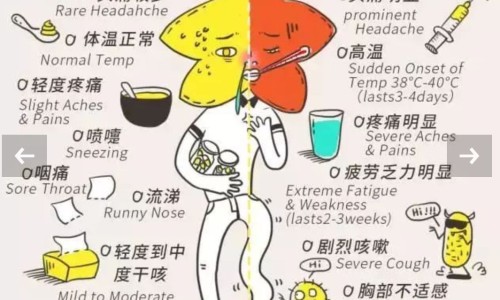 怀孕期能学车吗-孕期还能学车-怀孕期间可以学车考驾驶证么,中国怀孕期间可以学车吗网站