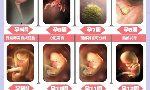 孕期还能学车-怀孕期间可以学车考驾驶证么,中国怀孕期间可以学车吗网站