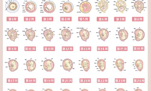 孕期还能学车-怀孕期间可以学车考驾驶证么,中国怀孕期间可以学车吗网站