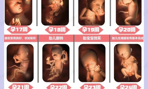 孕期还能学车-怀孕期间可以学车考驾驶证么,中国怀孕期间可以学车吗网站